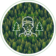 ビジネス領域イメージ画像