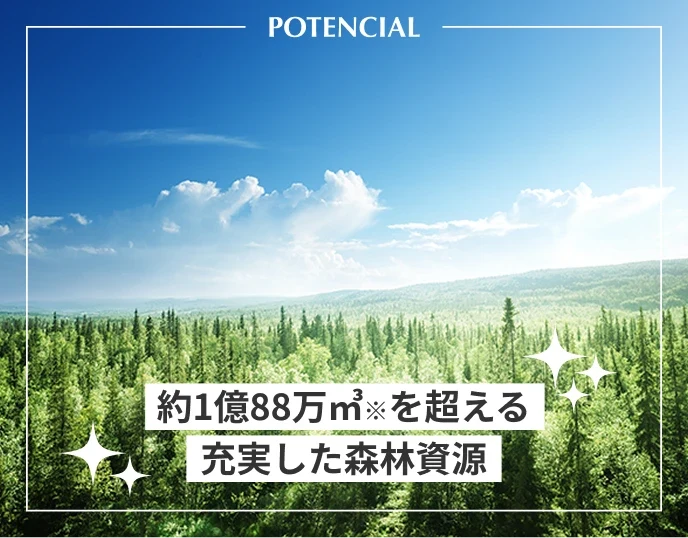 約1億88万㎥※を超える充実した森林資源